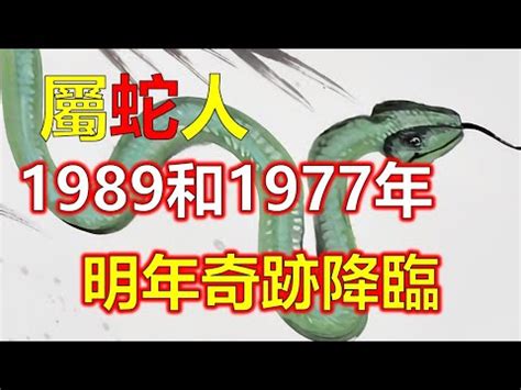 1989五行